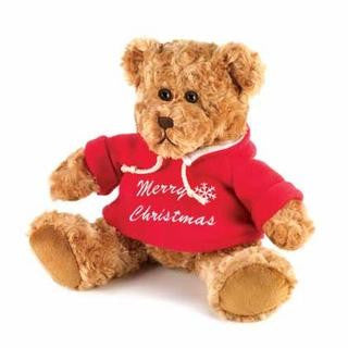 Noel The Christmas Teddy Bear