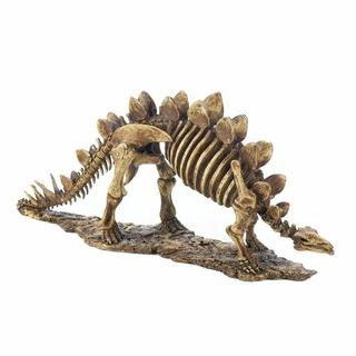 Stegosaurus Dinosaur Skeleton Statue