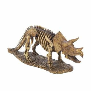 Triceratops Dinosaur Skeleton Statue