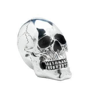 Shining Silver Skull