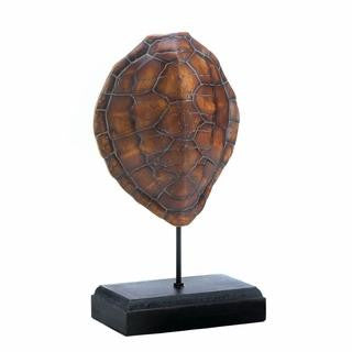 Turtle Shell Museum Decor