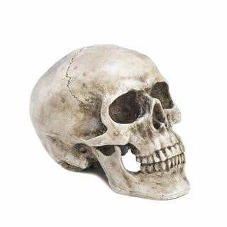 Skull Decorative Accent